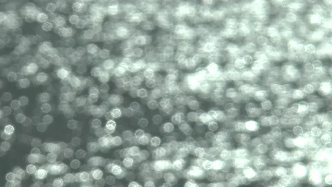 Out Of Focus Sea Stock Footage 108666692