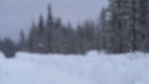 Out of focus shot of snow falling in front of forest Stock Footage 128950341