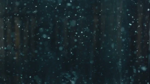 Out of Focus Snow Falling In Slow Motion Against Dark Background Stock Footage 73339112
