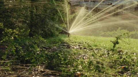 Out of focus, Splashes of Water from the Irrigation System lawn in the Park in Stock Footage 160125990