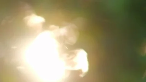 Out of focus sunset on blurry background. Sun flares shine through tree Stock Footage