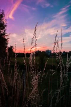 Out of focus sunset Stock Photos