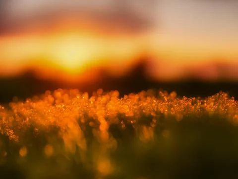Out of focus sunset scene Stock Photos