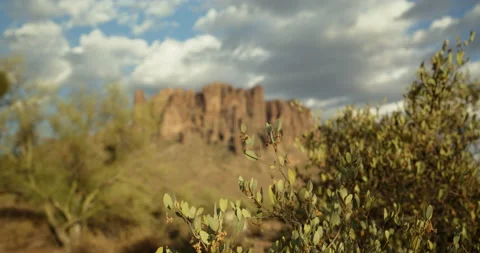 Out of focus Superstition Mountain, foreground foliage detail in focus 6K Stock Footage 201036604
