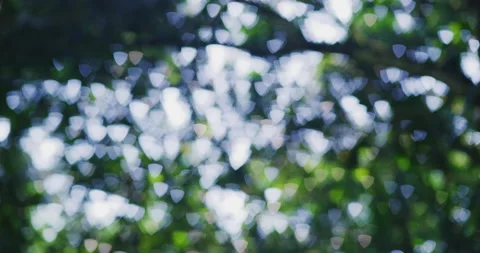 Out of Focus Unique Triangle Bokeh in Kuala Lumpur, Malaysia Stock Footage 146914808