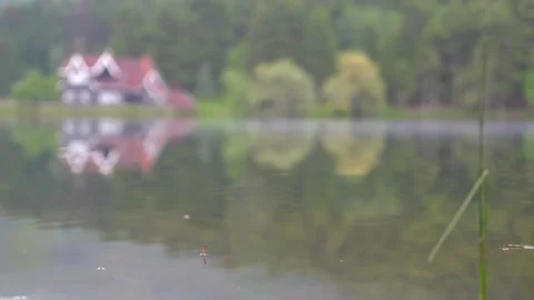 Out of focus view of a lakeside house at a nature park in Bolu, Türkiye Vídeos de archivo 311108053