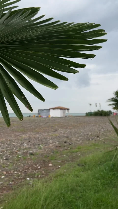 Out of focus view of small thatched holiday cottage Stock Footage 260663992