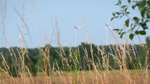 Out of focus wind farm in the background Video stock 278350089