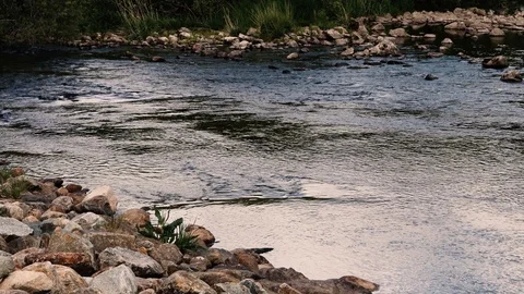 Out in the river Video stock 125697798