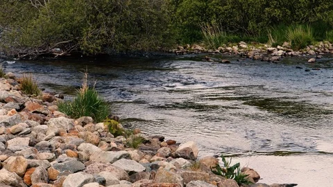 Out in the river Stockbeeldmateriaal 125698132
