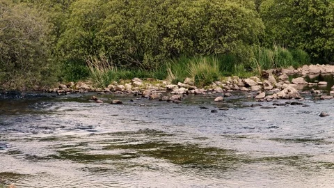 Out in the river Stock Footage 125699574