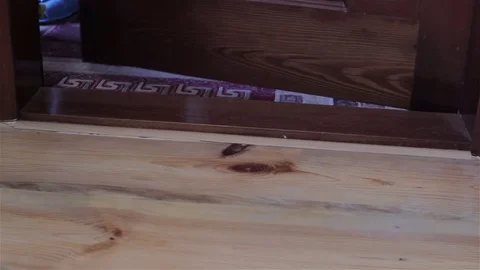 Out of the room in slippers Video stock 85180847