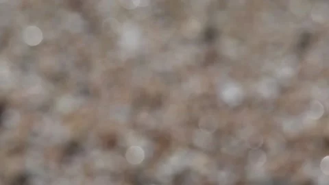 Out of soft defocus appear nice-looking shell beach on Ionian sea Stock Footage 131531962