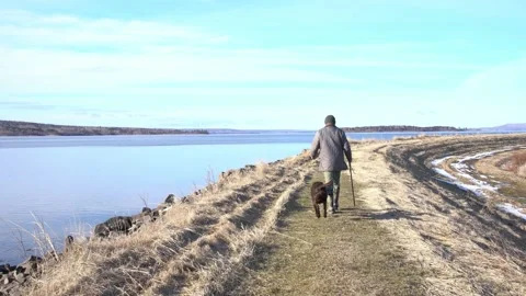 Out for some winter exercise Stock Footage 236141506