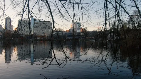 Out in the water Video stock 125699122