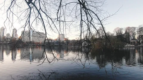 Out in the water Stock Footage 125699841