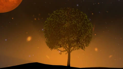 Out World Tree Stock Footage 23457222