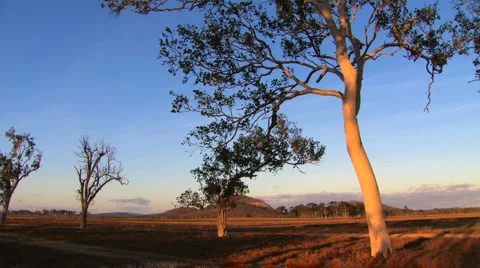 Outback Australia 库存影片 1070266