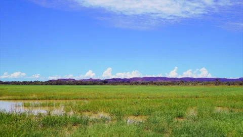 Outback Australia Time Lapse cloud movement green grass bush wet season Video stock 267010671