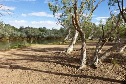 Outback Billabong Stock Photos