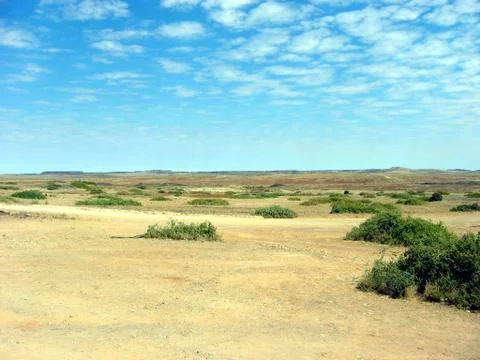 Outback desert plain Foto stock