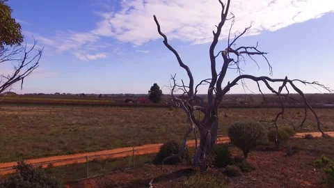 Outback drone Aussie outback Stock Footage 151872784