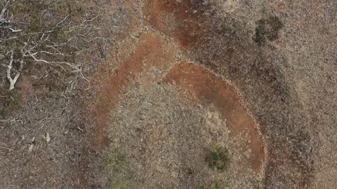 Outback Drought Aerial 01 Stock Footage 116693506