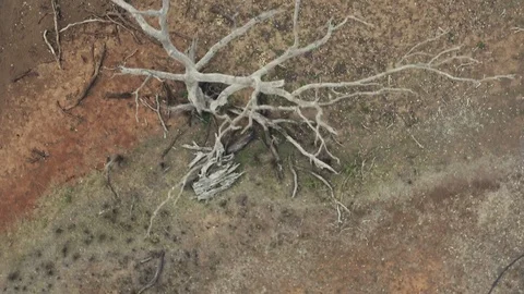 Outback Drought Aerial 03 Stock Footage 116693675