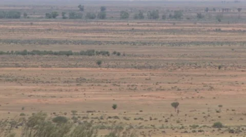 Outback Flimmer Heat Video stock 7761147