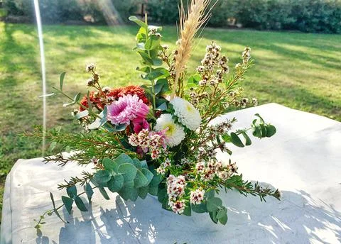 Outback florist Stock Photos