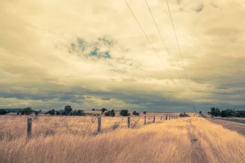 Outback landscape with dramatic sky and  yellow dry grass Stock Photos