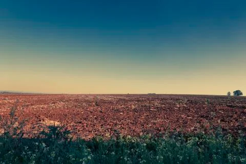 Outback landscape Stock Photos