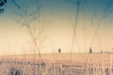 Outback landscape Stock Photos