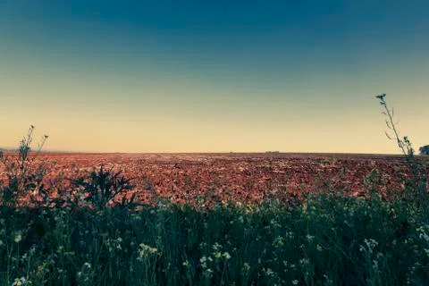 Outback landscape Stock Photos