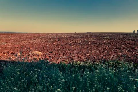 Outback landscape Stock Photos