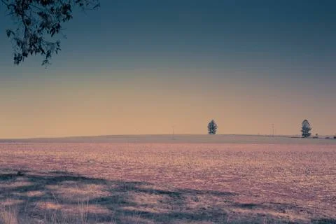Outback landscape Stock Photos