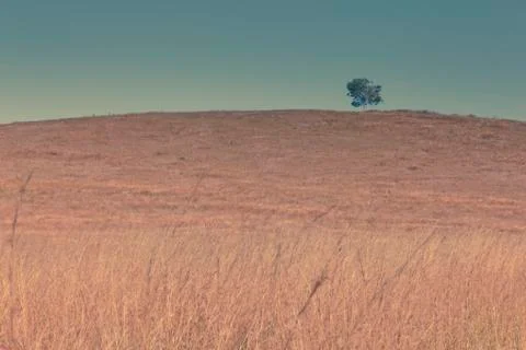 Outback landscape Stock Photos