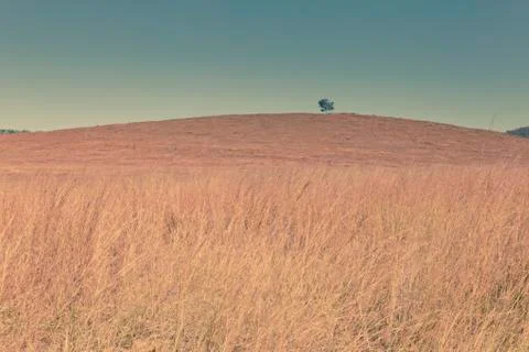Outback landscape Stock Photos