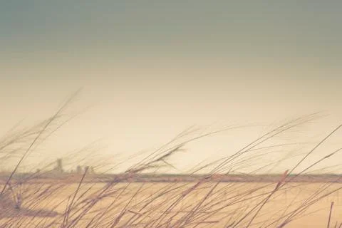 Outback landscape Stock Photos