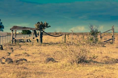 Outback landscape Stock Photos