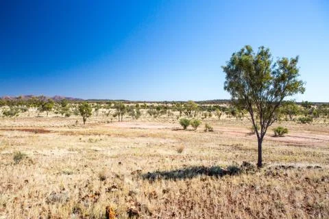 Outback Landscape in Summer Stock Photos