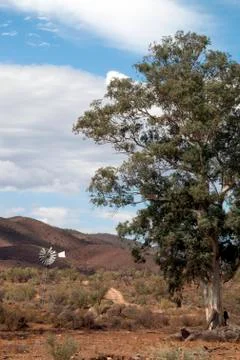 Outback landscape with windmill Stock Photos