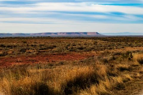 The Outback Stock Photos