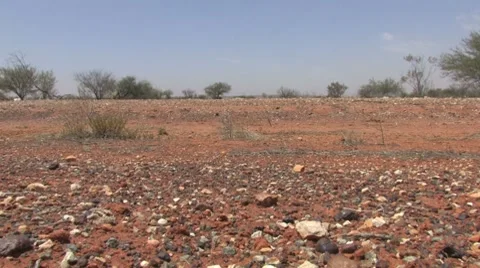 Outback Red Stones Stock Footage 7761148
