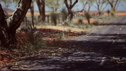 Outback road with dry grass and trees Stock Illustration