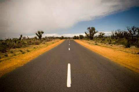 Outback road Stock Photos