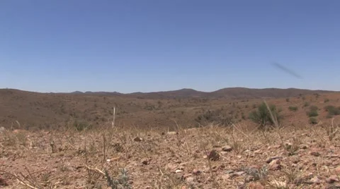 Outback with Sand Stock Footage 7761206