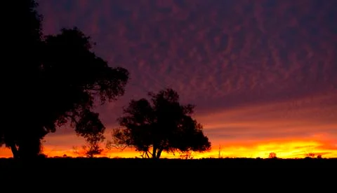Outback Sunrise Stock Photos