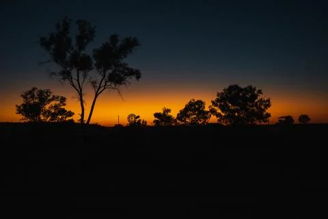 Outback sunset creating tree and windmill silhouettes Stock Photos