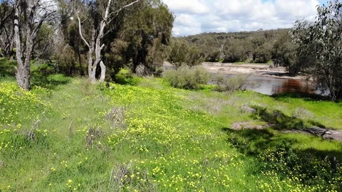 Outback of Western Australia in spring Stock Footage 102155872
